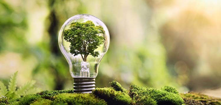 L'intelligence artificielle pour la surveillance de l'environnement : prévenir la dégradation de l'écosystème