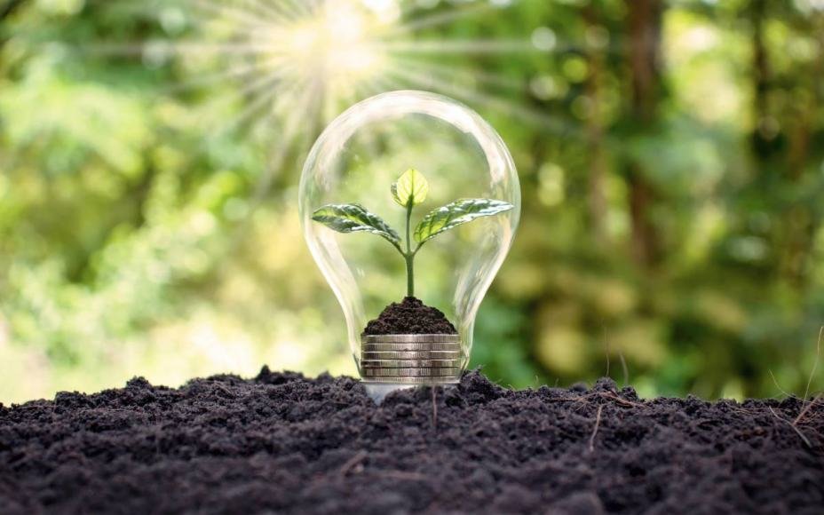 La gestion intelligente de l'eau : des capteurs IoT pour la conservation